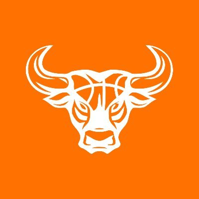 Brent Bulls Logo